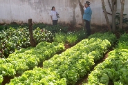 Semec e Amigo do Campo iniciam etapa nas escolas rurais