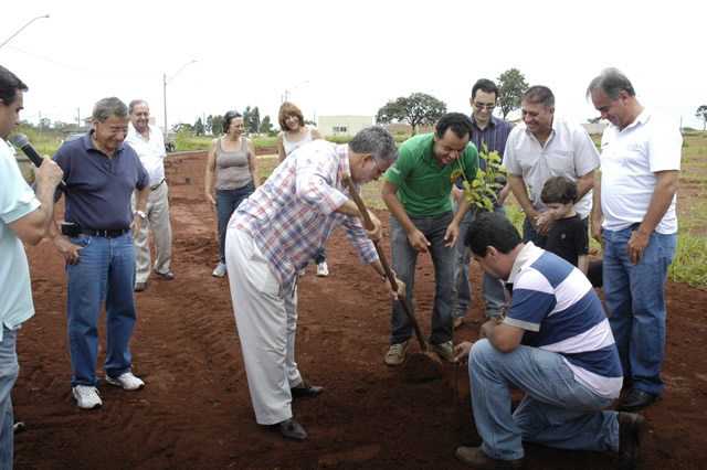 Arborização Condomínio Mário Franco. Foto:Francis Prado